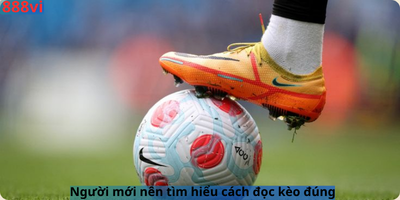 Người mới nên tìm hiểu cách đọc kèo đúng