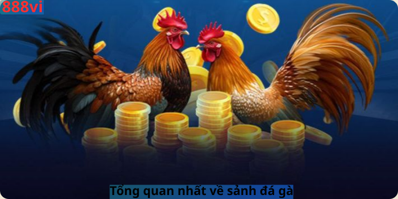 Tổng quan nhất về sảnh đá gà
