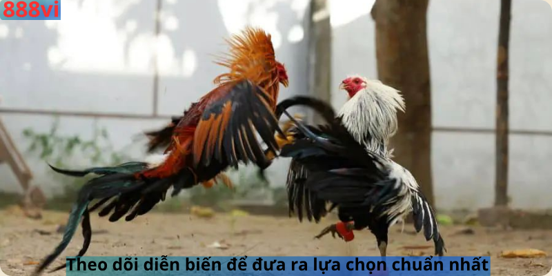 Theo dõi diễn biến để đưa ra lựa chọn chuẩn nhất 
