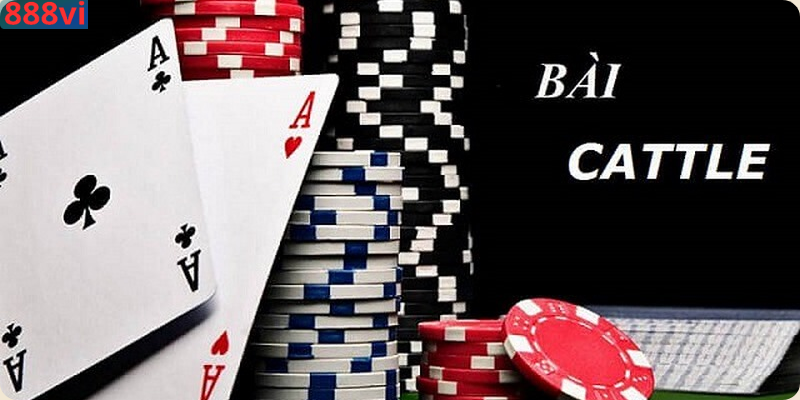 Khái quát game Catte